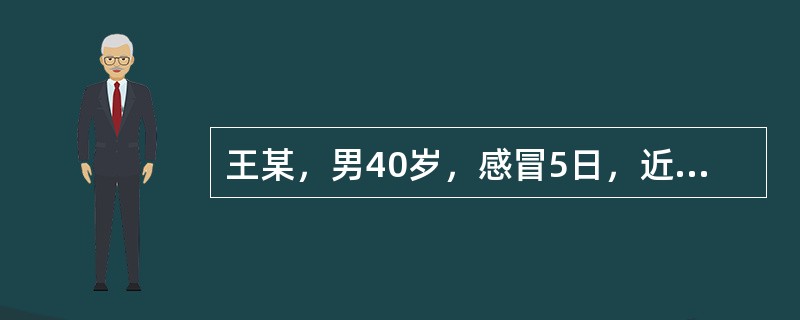 王某，男40岁，感冒5日，近则咳嗽频作，痰黏稠而黄，咯痰不爽，咽痛口渴，咳时汗出恶风，鼻流黄浊涕，头痛，舌苔薄黄，脉浮数。该病例治疗的基础方为（）