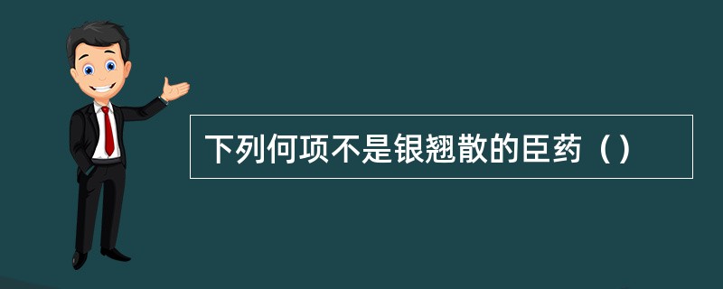 下列何项不是银翘散的臣药（）