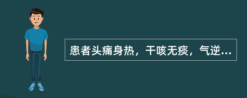 患者头痛身热，干咳无痰，气逆而喘，咽喉干燥，鼻燥，心烦口渴，舌干无苔，脉虚大而数，治宜用（）