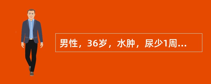 男性，36岁，水肿，尿少1周，血压120/80mmHg，尿常规：蛋白（++++），血浆白蛋白25g/L，24小时尿蛋白定量为9g。最可能的诊断是（）