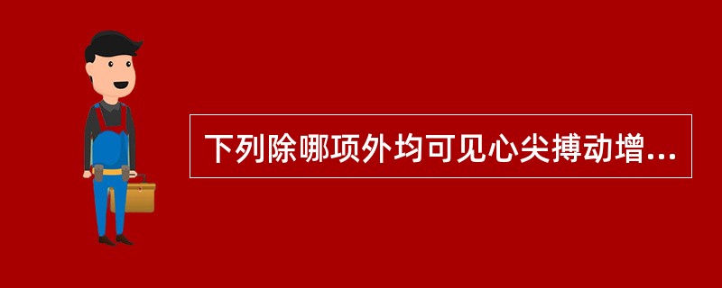 下列除哪项外均可见心尖搏动增强（）