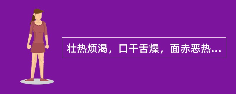 壮热烦渴，口干舌燥，面赤恶热，大汗；脉洪大有力，治宜用（）