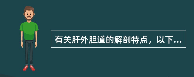 有关肝外胆道的解剖特点，以下哪项是错误的（）