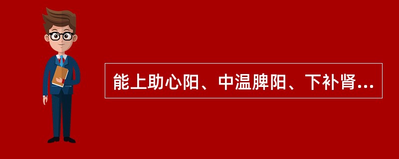 能上助心阳、中温脾阳、下补肾阳的药物是（）