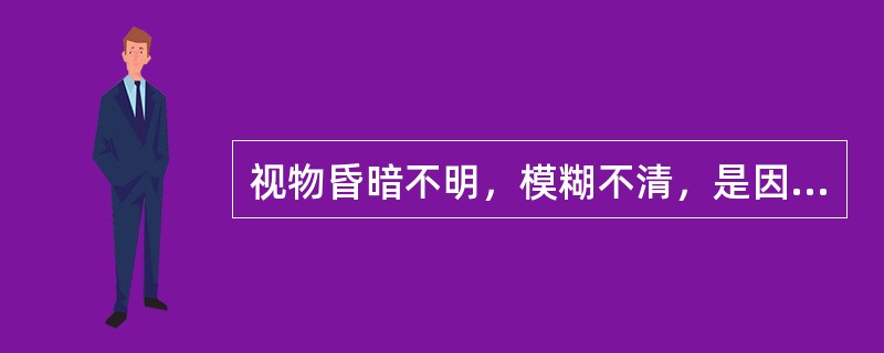 视物昏暗不明，模糊不清，是因（）