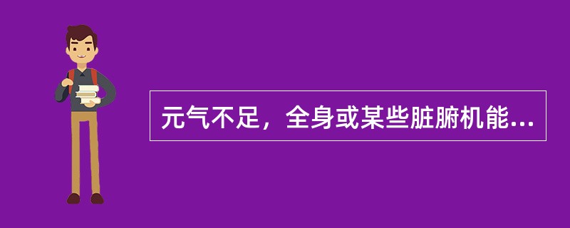 元气不足，全身或某些脏腑机能衰退的病理变化称作（）