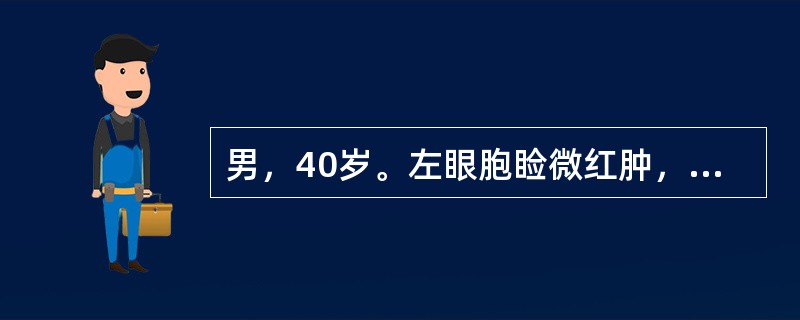 男，40岁。左眼胞睑微红肿，白睛混赤，羞明流泪，黑睛星翳渐次扩大加深呈圆盘状，头痛溲赤，口苦苔黄，脉弦数。此病例最可能的诊断是（　　）。