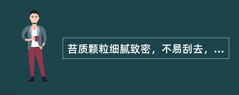 苔质颗粒细腻致密，不易刮去，上有黏液，称为（）