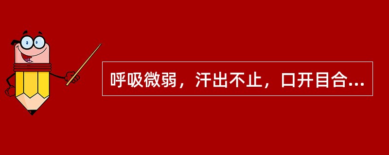 呼吸微弱，汗出不止，口开目合，神识朦胧，全身瘫软，二便失禁，面色苍白，舌淡脉微，属（）