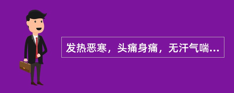 发热恶寒，头痛身痛，无汗气喘，宜用（）