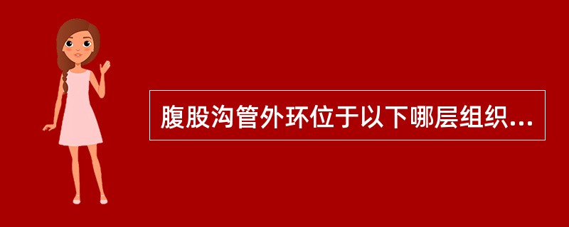 腹股沟管外环位于以下哪层组织上（）