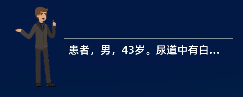患者，男，43岁。尿道中有白色分泌物滴出3年，劳累后更为明显，伴腰膝酸冷，放射至会阴部。形寒肢冷，精神不振，头晕。治疗应首选（）