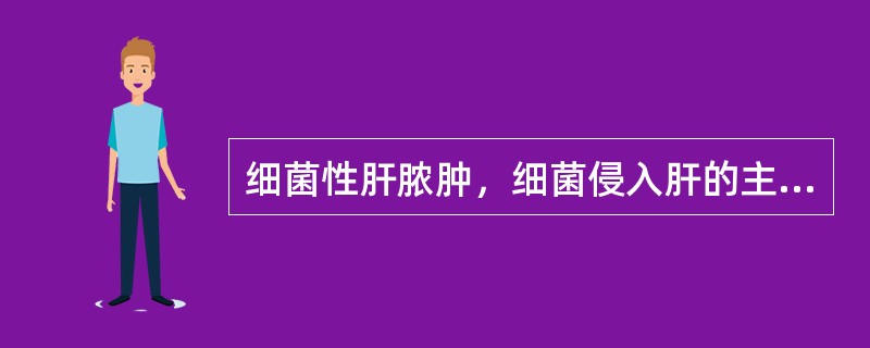 细菌性肝脓肿，细菌侵入肝的主要途径是（）