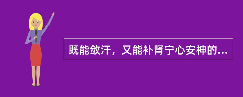 既能敛汗，又能补肾宁心安神的药物是（）