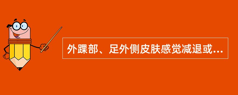 外踝部、足外侧皮肤感觉减退或消失，提示腰椎间盘突出的间隙最可能是（）