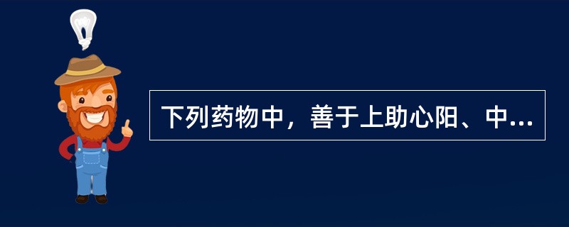 下列药物中，善于上助心阳、中温脾阳、下补肾阳的药物是