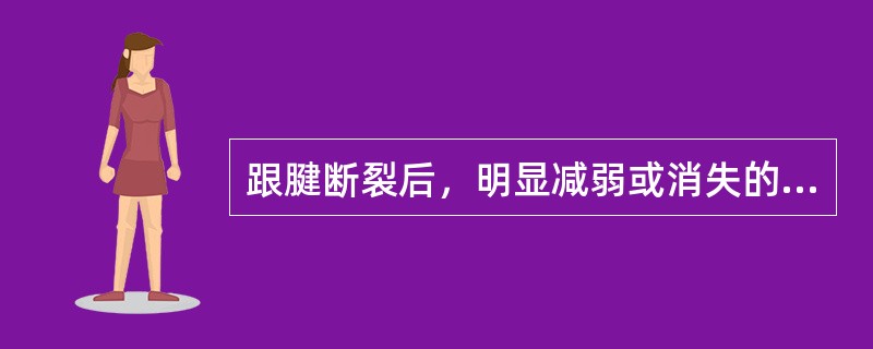 跟腱断裂后，明显减弱或消失的是（）