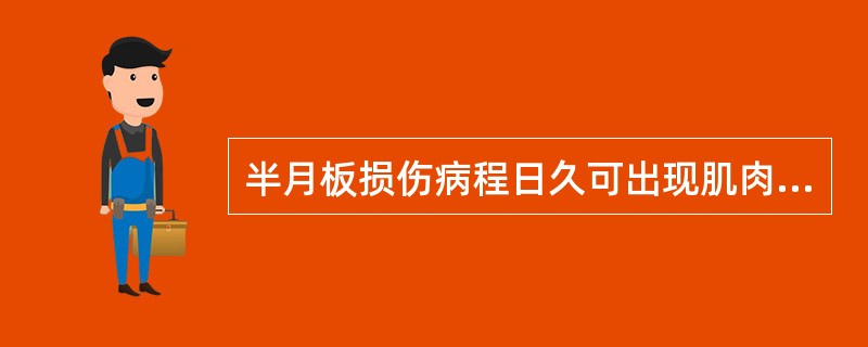 半月板损伤病程日久可出现肌肉萎缩，最明显的是（）