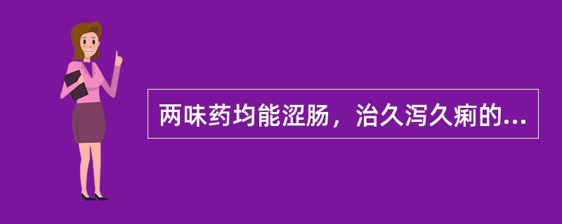 两味药均能涩肠，治久泻久痢的选项是()