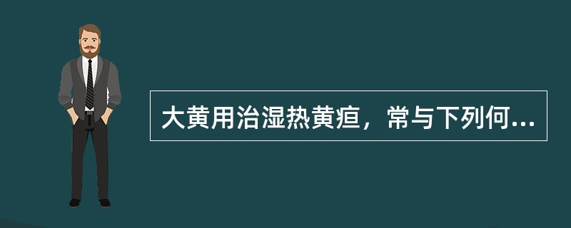 大黄用治湿热黄疸，常与下列何药配伍