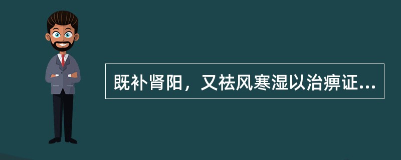既补肾阳，又祛风寒湿以治痹证的药物是（）