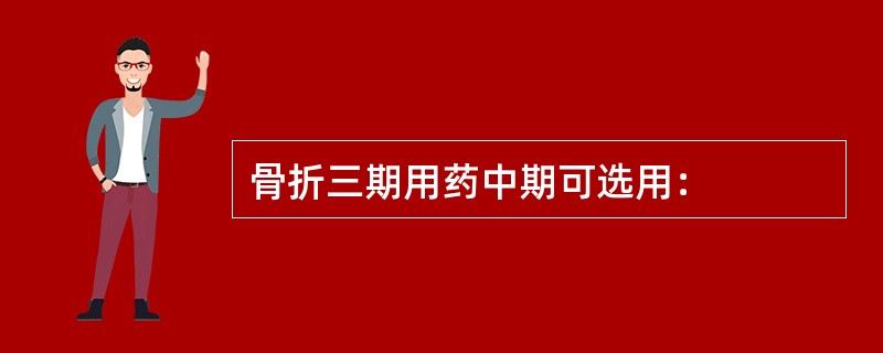 骨折三期用药中期可选用：