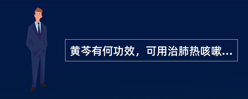 黄芩有何功效，可用治肺热咳嗽之痰黄稠兼大肠湿热泄泻