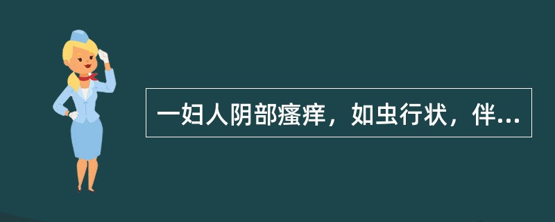 一妇人阴部瘙痒，如虫行状，伴有灼热疼痛，带下量多，色黄呈泡沫状，味腥臭，舌质红苔黄腻，脉滑数。首选方剂为