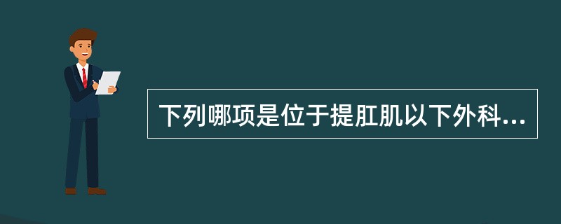 下列哪项是位于提肛肌以下外科间隙的：