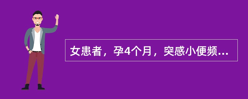 女患者，孕4个月，突感小便频数而急，尿黄赤，灼热刺痛，胸闷食少。舌红苔黄腻，脉滑数。治疗宜首选：