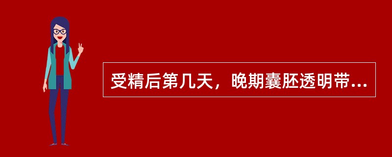 受精后第几天，晚期囊胚透明带消失之后开始着床