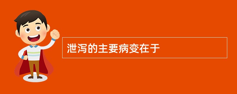 泄泻的主要病变在于