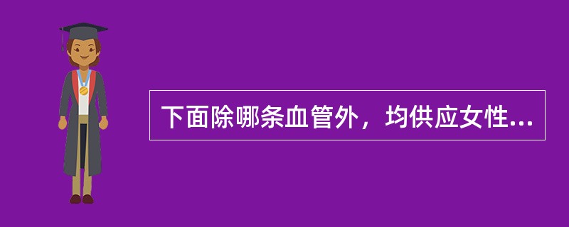 下面除哪条血管外，均供应女性内外生殖器官的血液