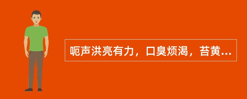 呃声洪亮有力，口臭烦渴，苔黄燥，首先考虑为