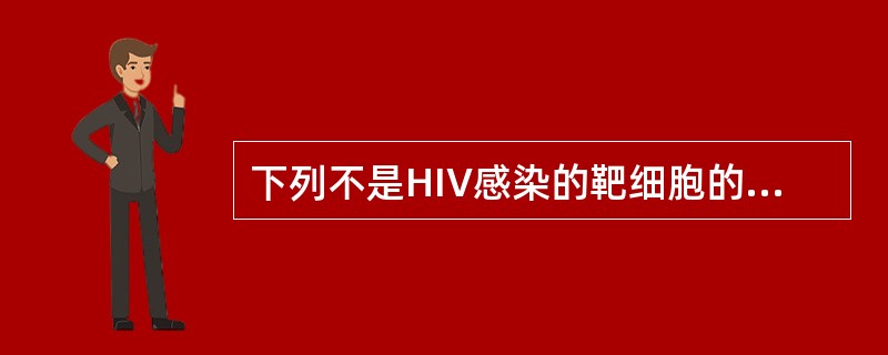 下列不是HIV感染的靶细胞的是（　　）。