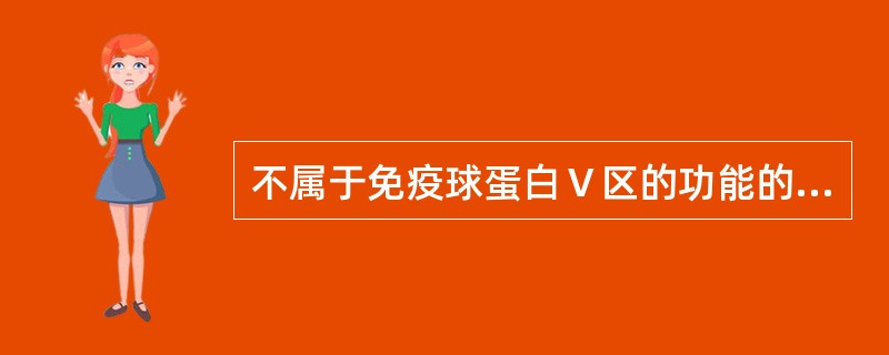 不属于免疫球蛋白Ⅴ区的功能的是（　　）。