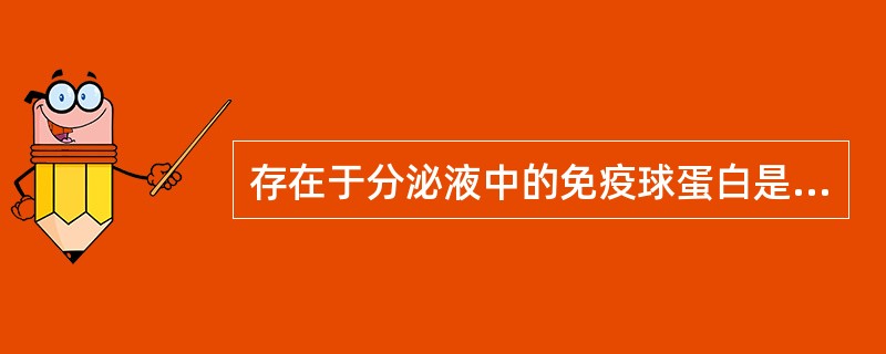 存在于分泌液中的免疫球蛋白是（　　）。