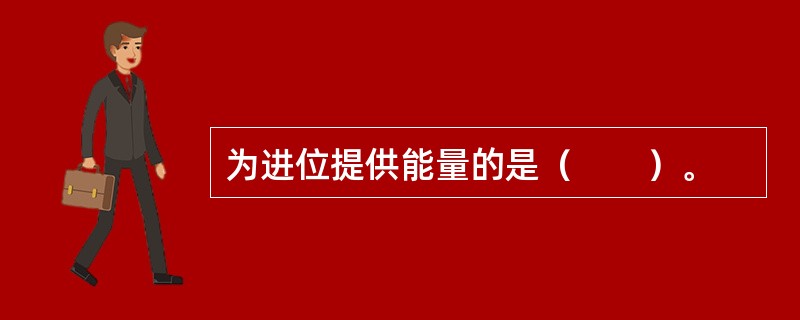 为进位提供能量的是（　　）。