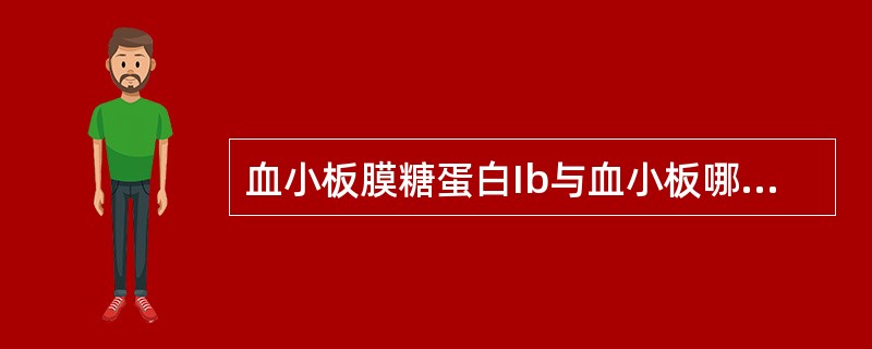 血小板膜糖蛋白Ib与血小板哪种功能有关？（　　）