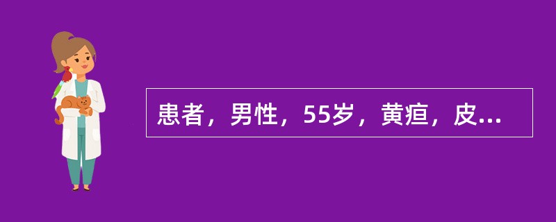 患者，男性，55岁，黄疸，皮肤瘀斑，慢性重症肝炎。AST 70U/L，ALT 87U/L，GGT70U/L，ALP 170U/L，清蛋白10g/L，球蛋白45g/L，A/G下降，总胆红素53μmol/