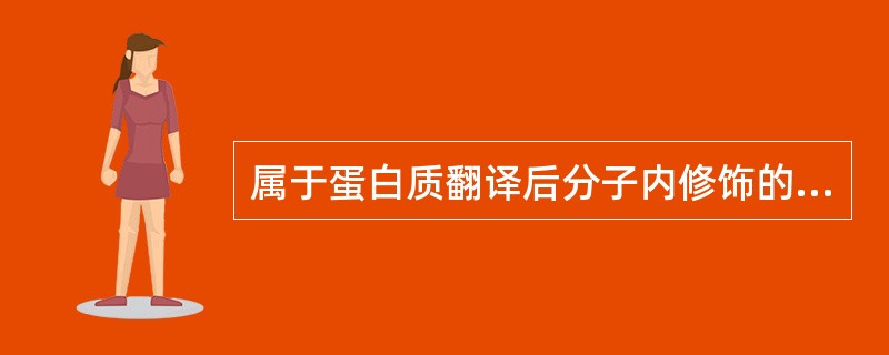 属于蛋白质翻译后分子内修饰的是（　　）。