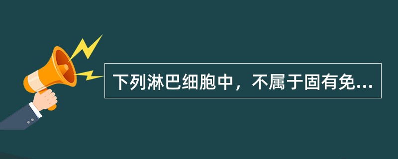 下列淋巴细胞中，不属于固有免疫细胞的是（　　）。