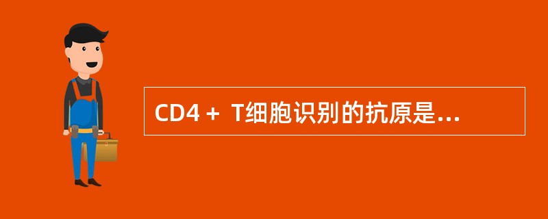 CD4＋ T细胞识别的抗原是（　　）。
