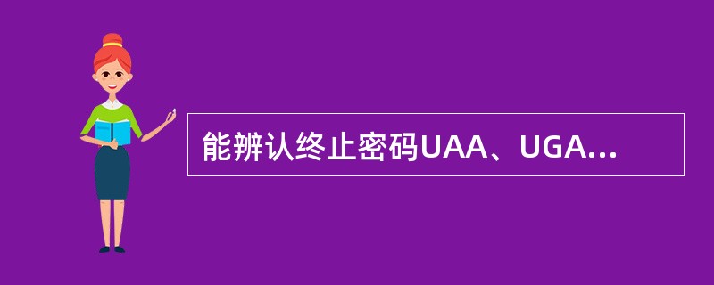 能辨认终止密码UAA、UGA的是（　　）。