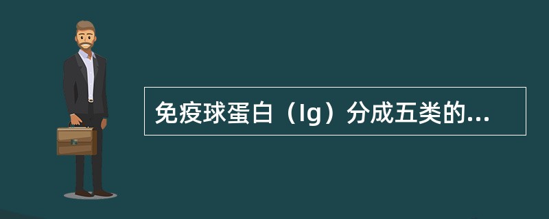 免疫球蛋白（Ig）分成五类的依据是（　　）。