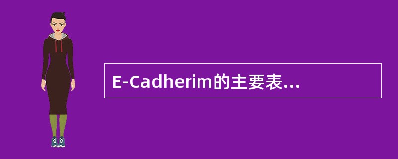 E-Cadherim的主要表达于哪类细胞膜上？（　　）