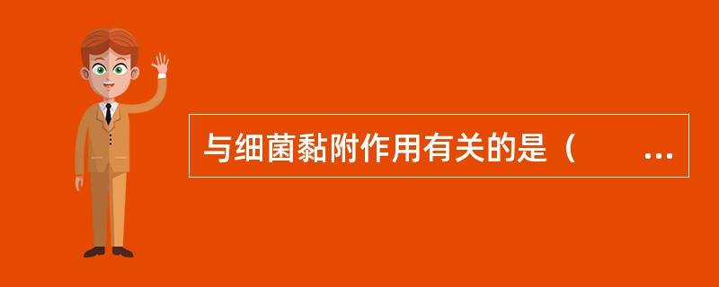 与细菌黏附作用有关的是（　　）。