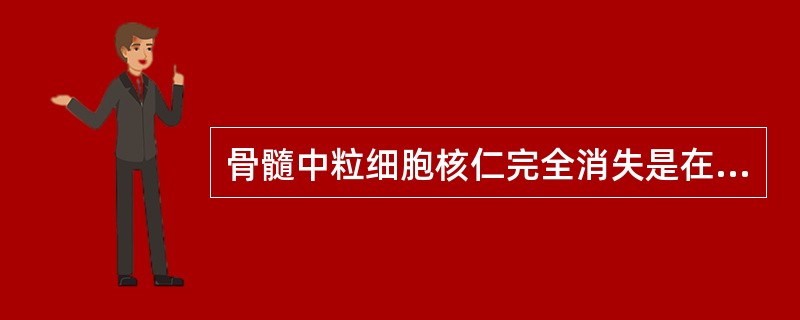 骨髓中粒细胞核仁完全消失是在（　　）。