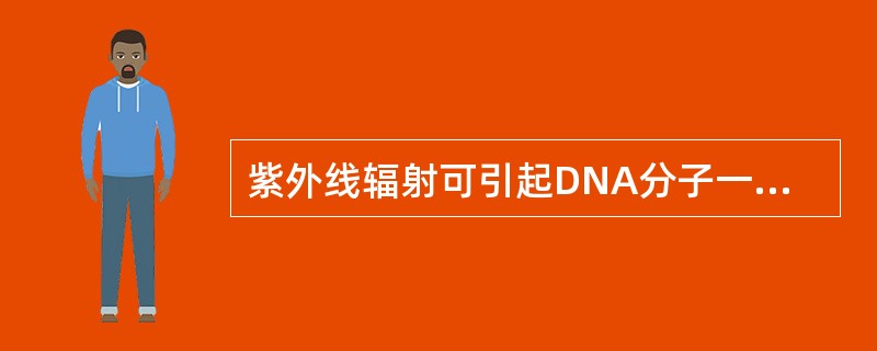 紫外线辐射可引起DNA分子一条链上相邻嘧啶碱基之间形成二聚体，其中最容易形成二聚体的是（　　）。