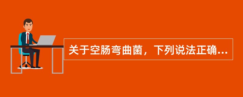 关于空肠弯曲菌，下列说法正确的是